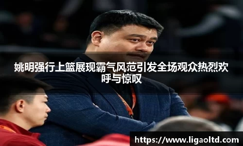 姚明强行上篮展现霸气风范引发全场观众热烈欢呼与惊叹