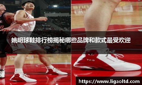 姚明球鞋排行榜揭秘哪些品牌和款式最受欢迎