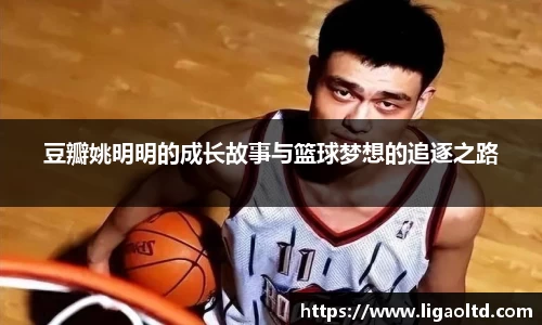 豆瓣姚明明的成长故事与篮球梦想的追逐之路