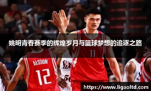 姚明青春赛季的辉煌岁月与篮球梦想的追逐之路