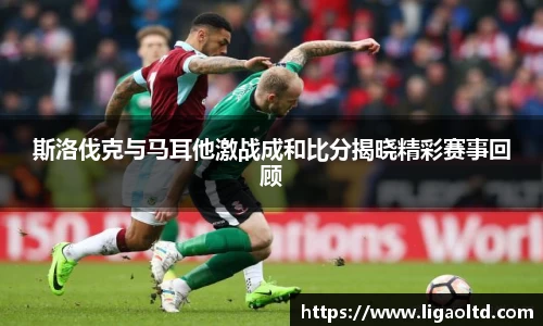 斯洛伐克与马耳他激战成和比分揭晓精彩赛事回顾